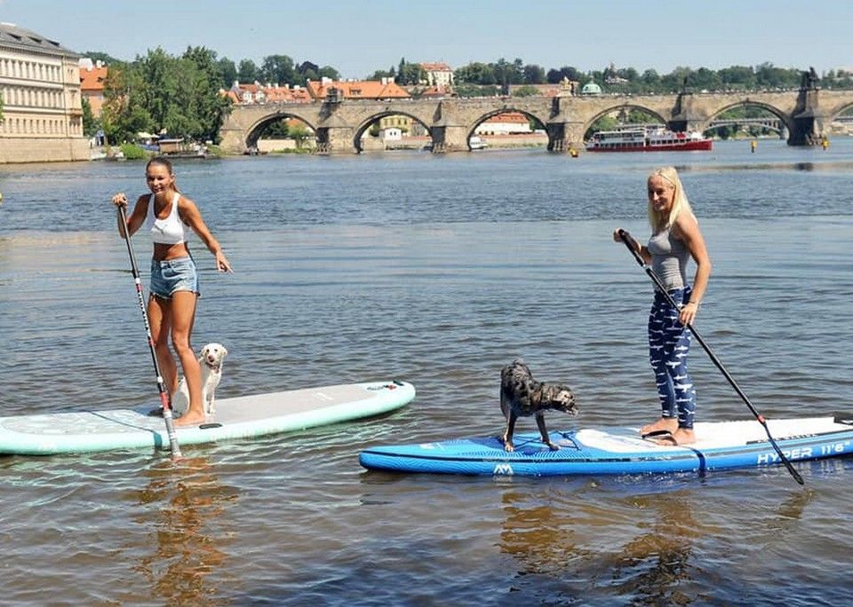 prague paddle fest na paddleoardech se psy