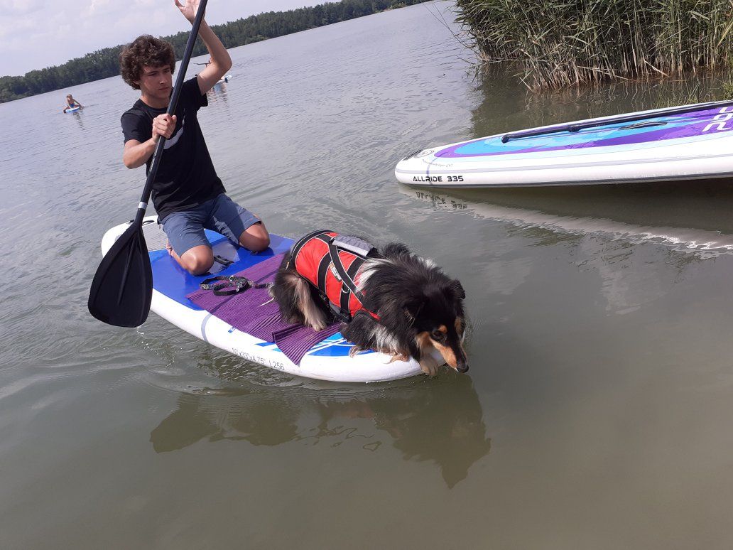 dog-paddleboard-cz (17)