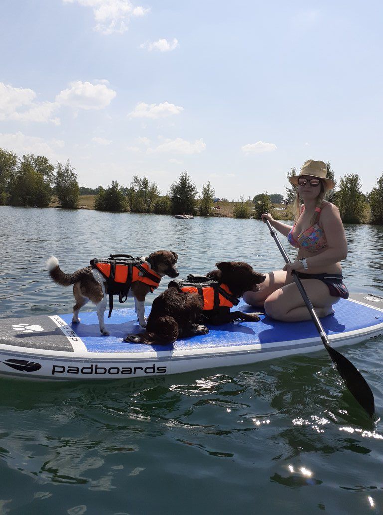 dog-paddleboard-cz (3)