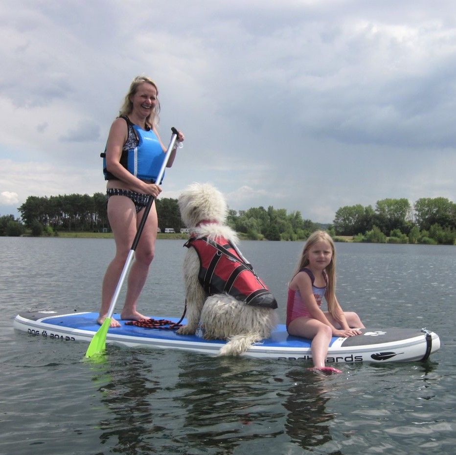 thumb dog-paddleboard-cz