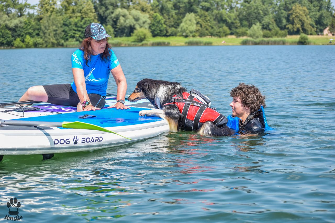 vytahování psa z vody na paddleboard_dog paddleboard cz